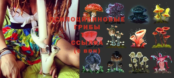 дмт Краснослободск