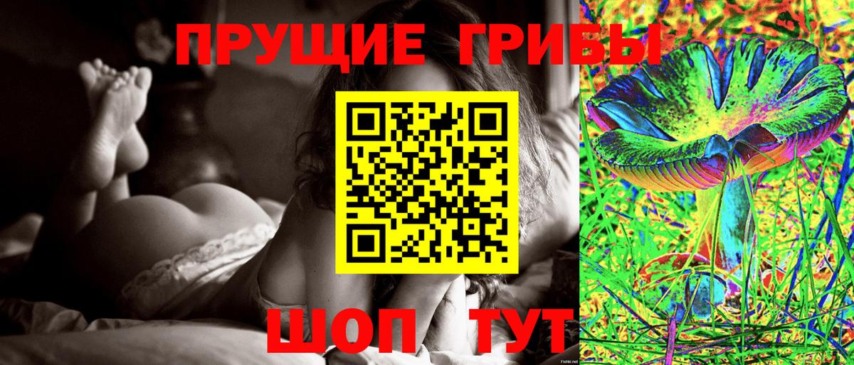 хочу   Михайловка  Галлюциногенные грибы Cubensis 