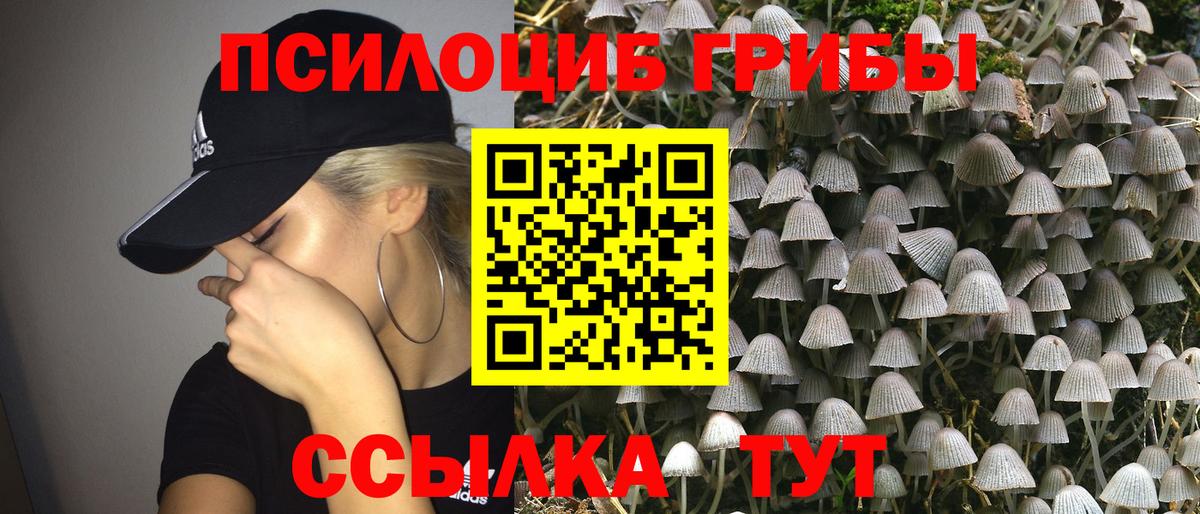 Галлюциногенные грибы MAGIC MUSHROOMS Михайловка