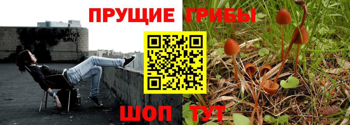 Михайловка  Каннабис  A-PVP СК кристаллы  Бошки Шишки  Лсд 25  ГАШ  Мефедрон   ГАШ  COCAIN  Меф МЯУ МЯУ кристаллы 