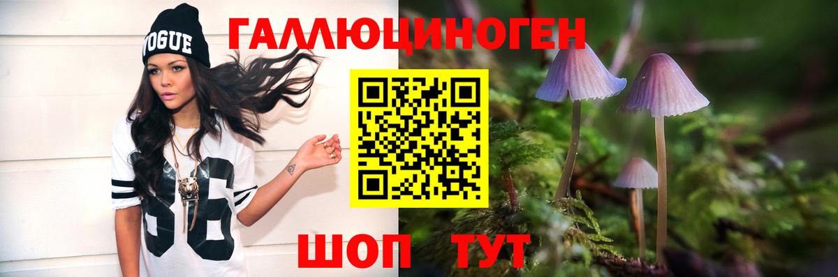 Михайловка  Псилоцибиновые грибы мицелий  Галлюциногенные грибы ЛСД  Вход с VPN 